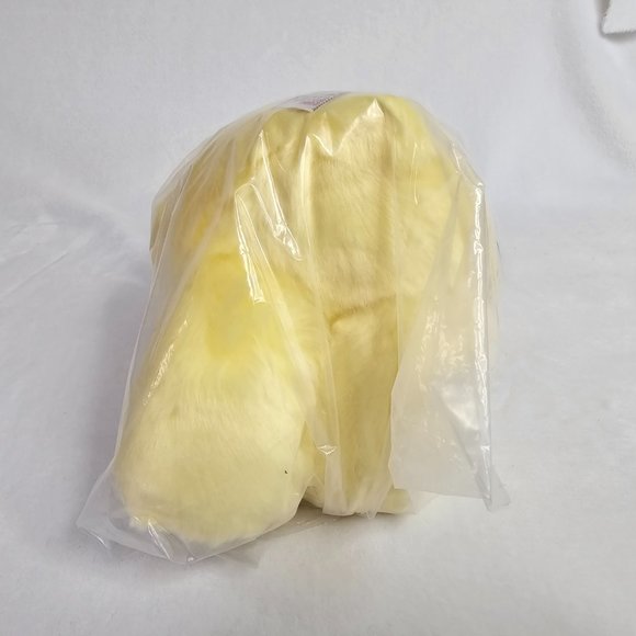 GUND Care Bears Funshine Bear Plush Stuffed Animal Nordstrom Sealed New 4060627 - Picture 5 of 9